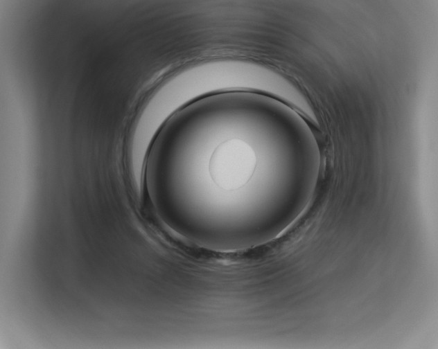 X0000113250352200909101433