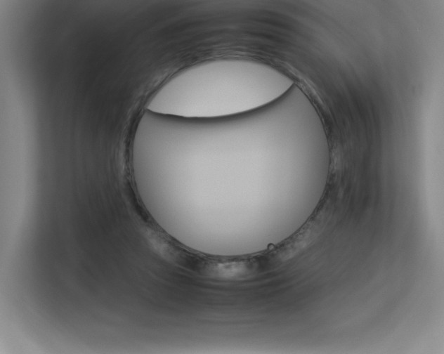 X0000113250353200909101433