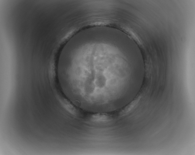 X0000113250354200909101433