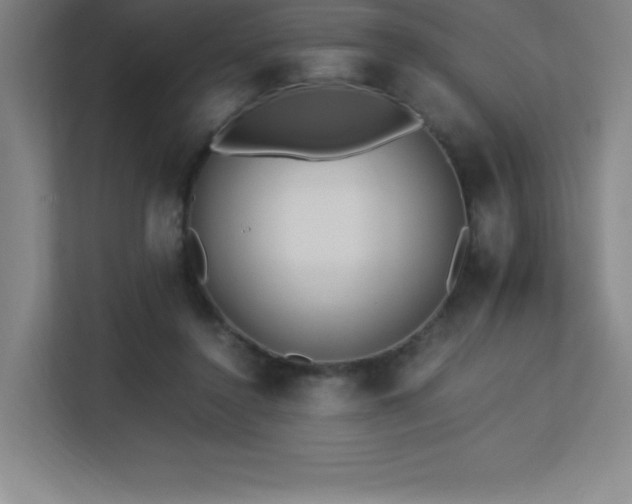 X0000113250356200909101433