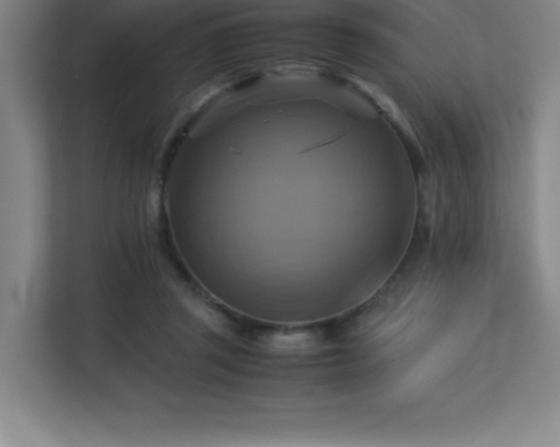 X0000113250357200909101433