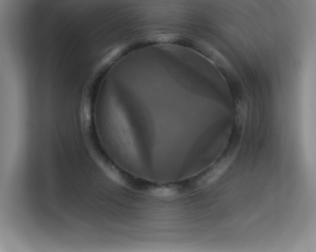 X0000113250358200909101433