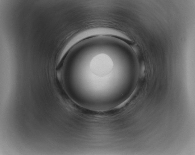 X0000113250360200909101433