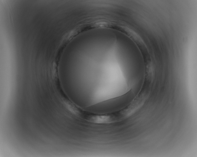 X0000113250361200909101433