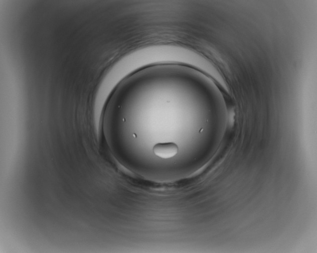 X0000113250362200909101433