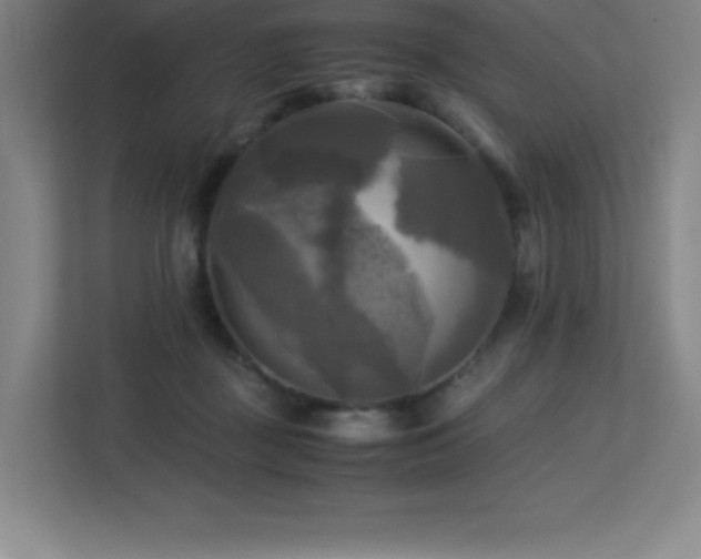 X0000113250363200909101433