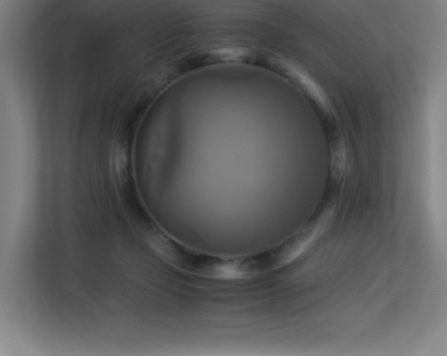 X0000113250365200909101433