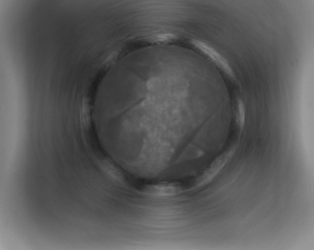 X0000113250366200909101433
