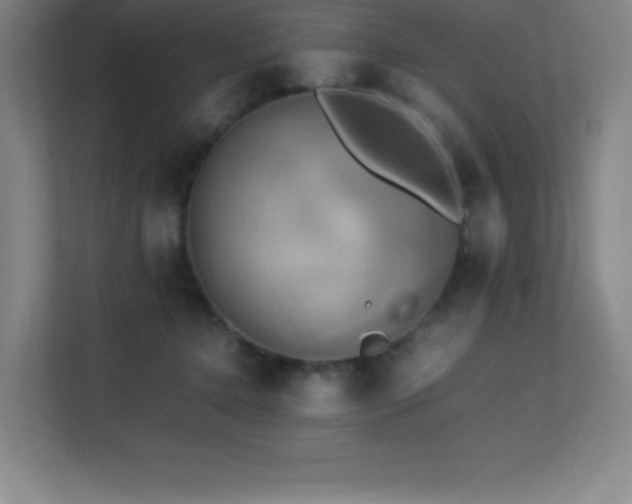 X0000113250368200909101433