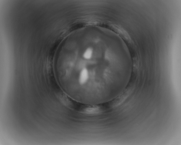 X0000113250369200909101433