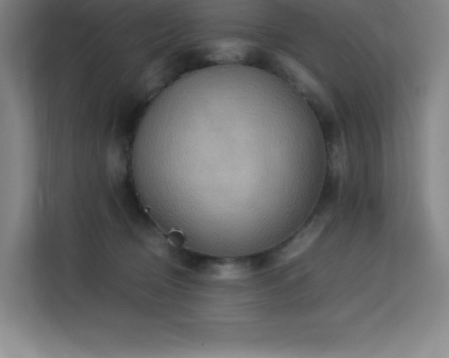 X0000113250370200909101433
