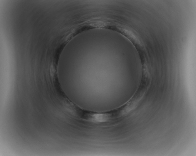 X0000113250371200909101433