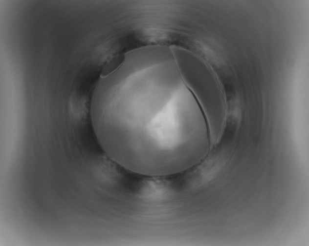 X0000113250372200909101433