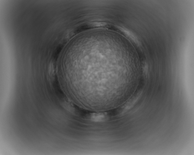 X0000113250373200909101433