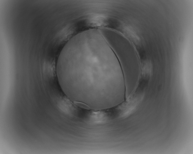 X0000113250376200909101433