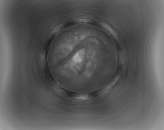 X0000113250377200909101433
