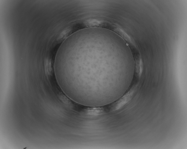 X0000113250378200909101433