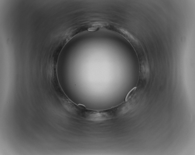 X0000113250379200909101433