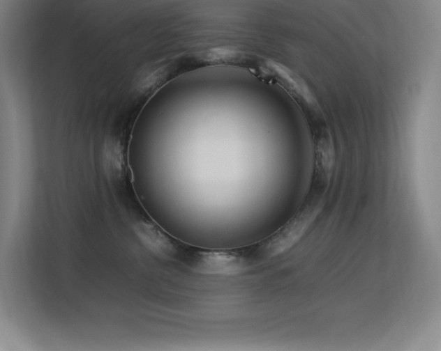 X0000113250380200909101433