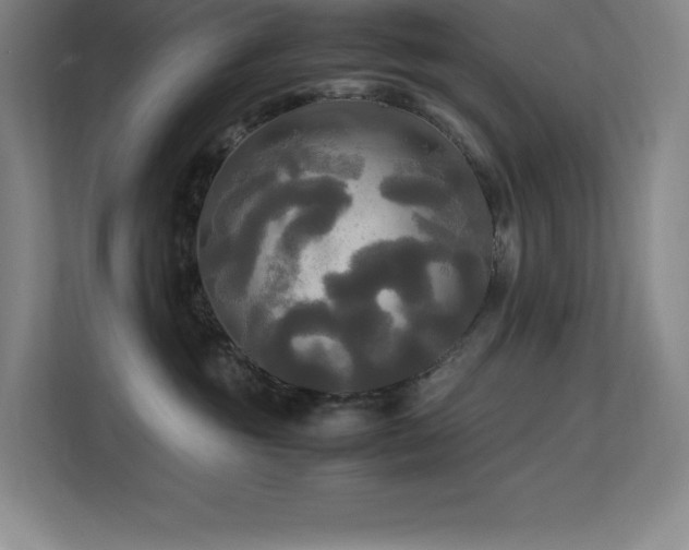 X0000113250381200909101433