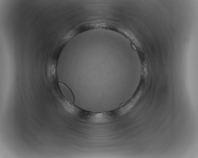 X0000113250382200909101433