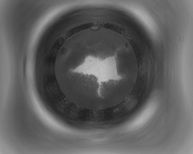 X0000113250383200909101433