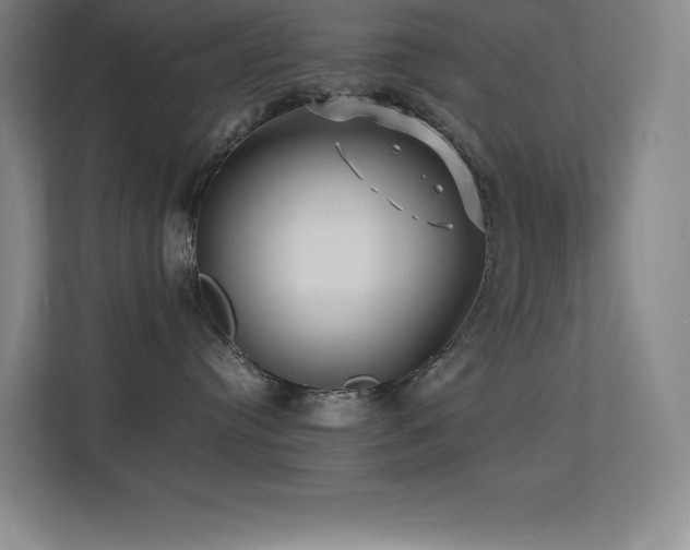 X0000113250384200909101433
