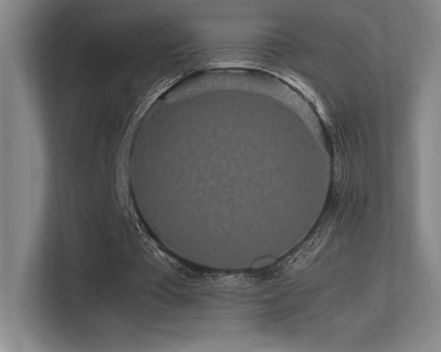 X0000113250385200909101433