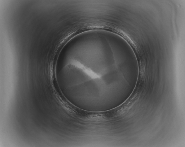 X0000113250386200909101432