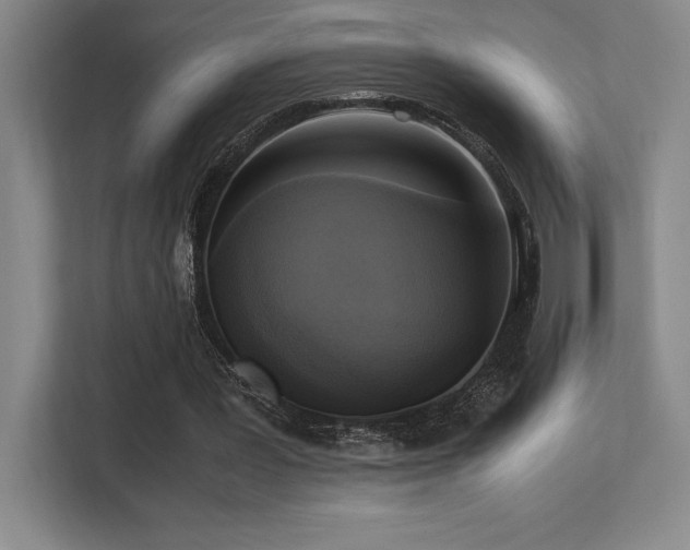 X0000113250387200909101432
