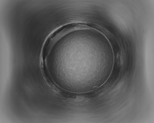 X0000113250388200909101432