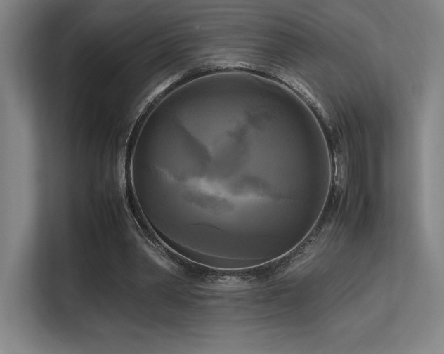 X0000113250390200909101432