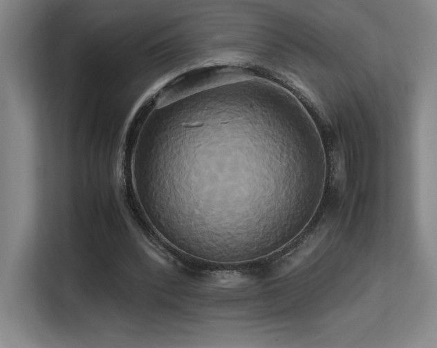 X0000113250392200909101432