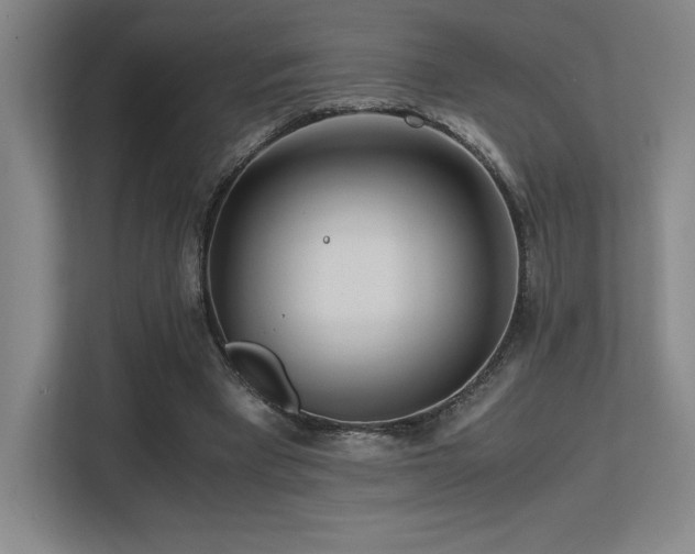 X0000113250393200909101432