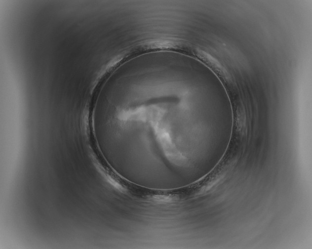 X0000113250394200909101432