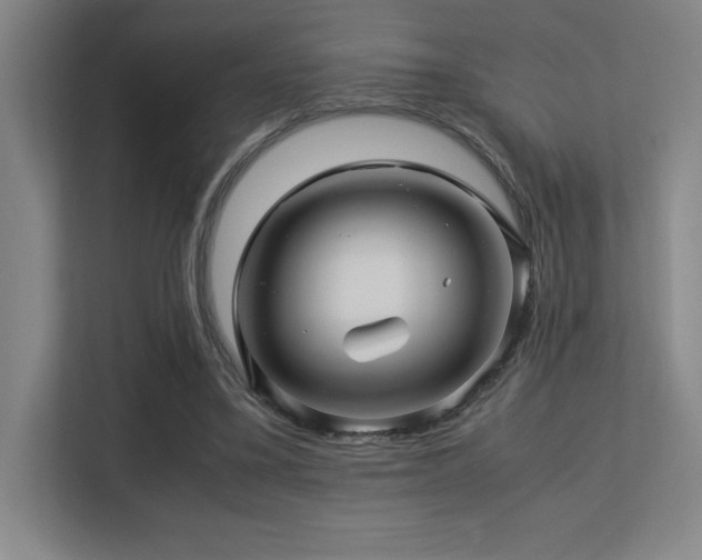 X0000113250395200909101432