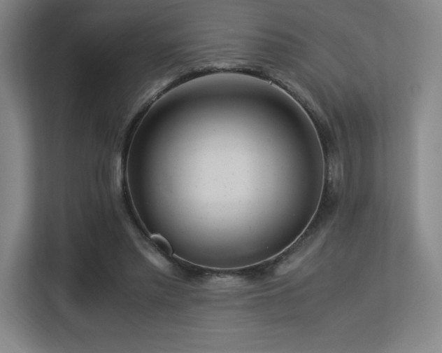 X0000113250397200909101432