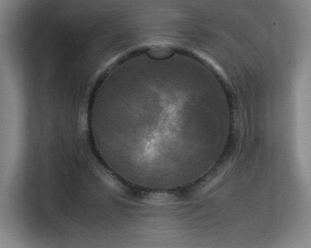 X0000113250399200909101432