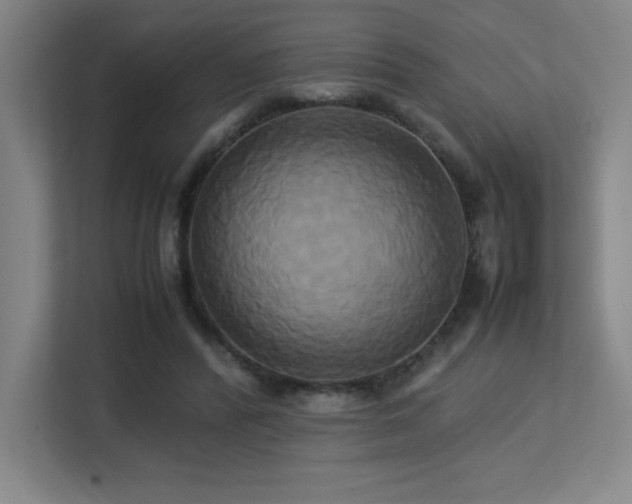 X0000113250400200909101432