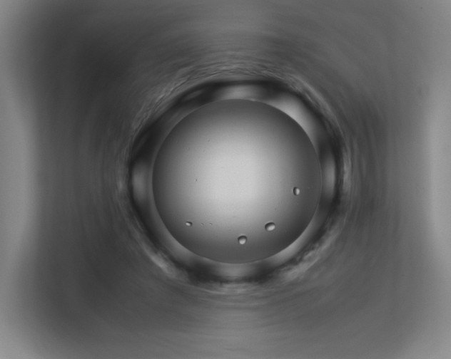 X0000113250401200909101432