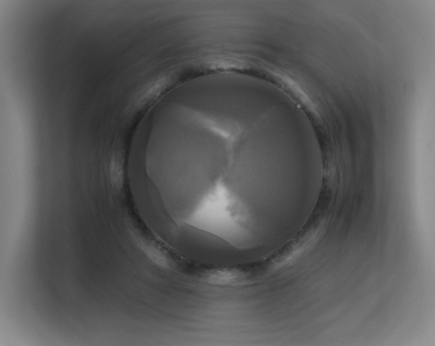 X0000113250402200909101432