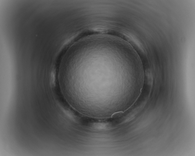X0000113250404200909101432