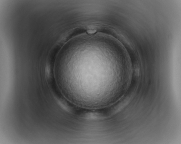 X0000113250408200909101432