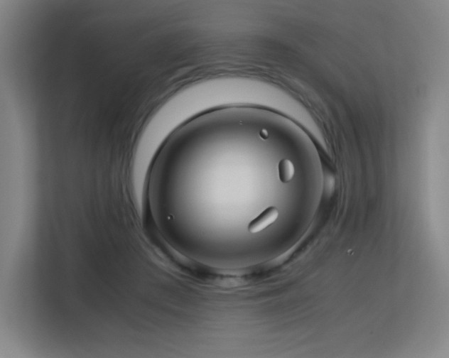 X0000113250409200909101432