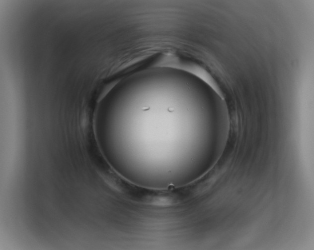 X0000113250412200909101432