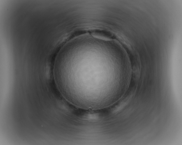 X0000113250416200909101432