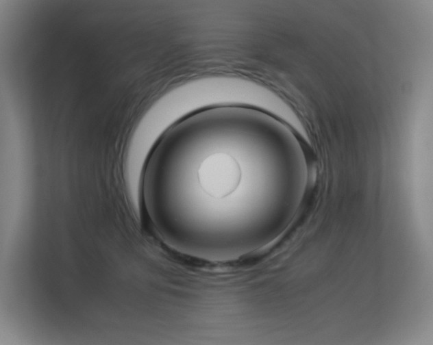 X0000113250419200909101432