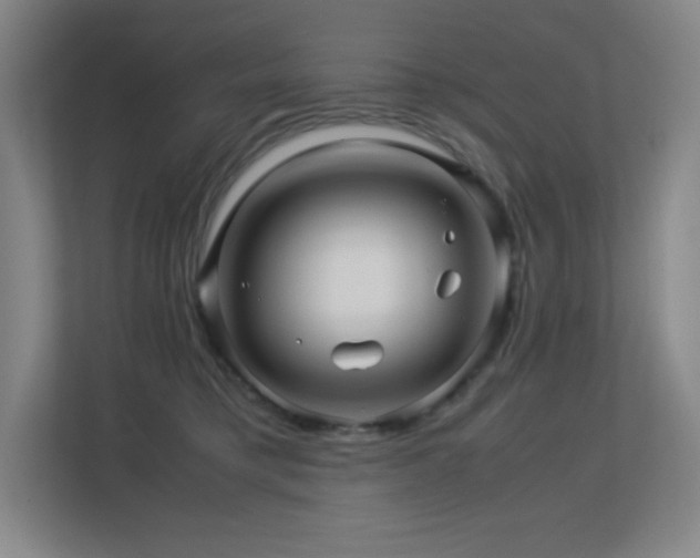 X0000113250421200909101432