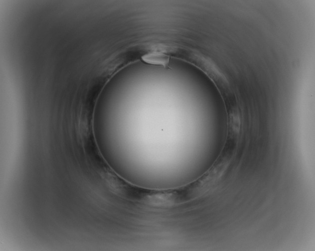 X0000113250422200909101432