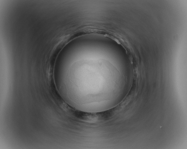 X0000113250423200909101432